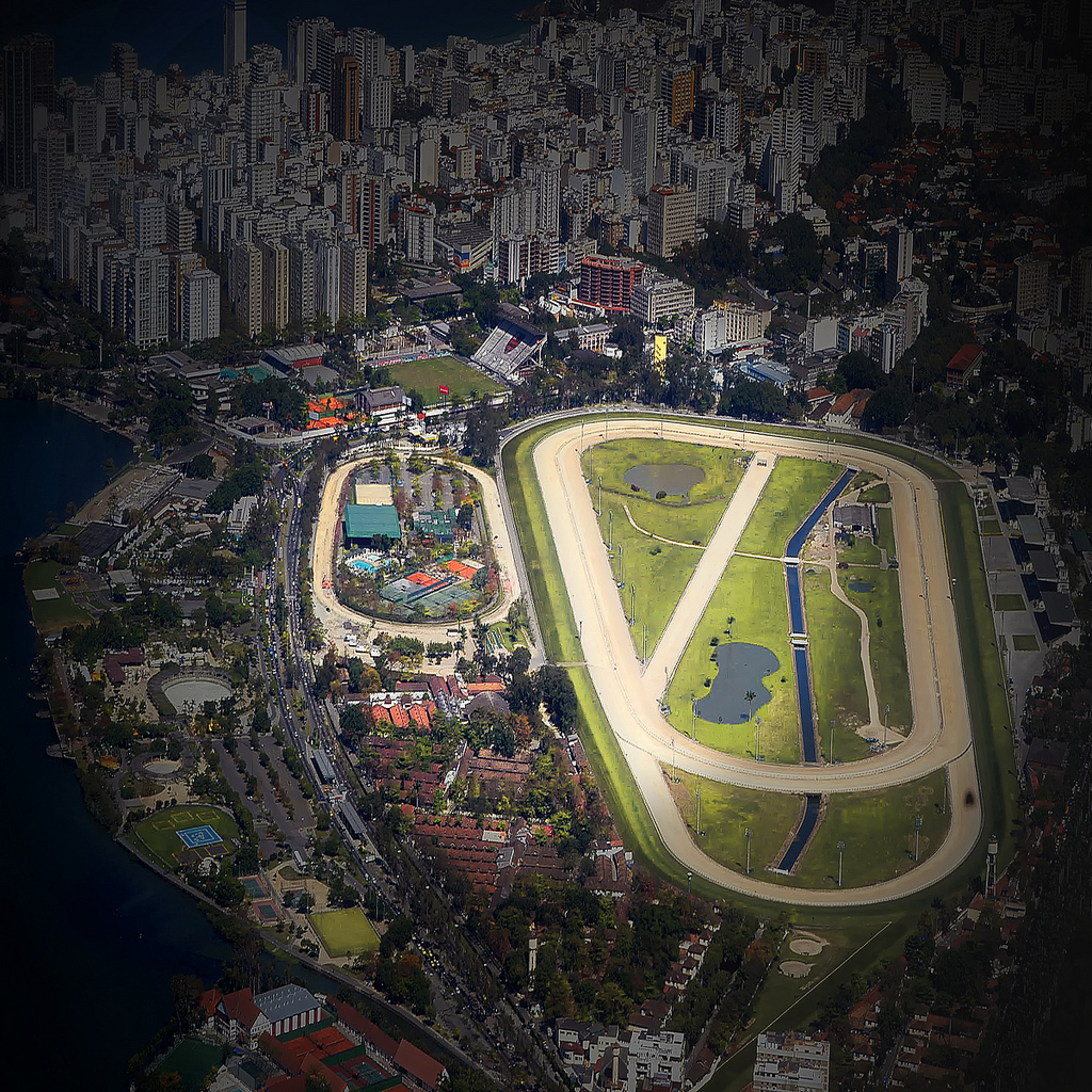 Rio and the loose horse